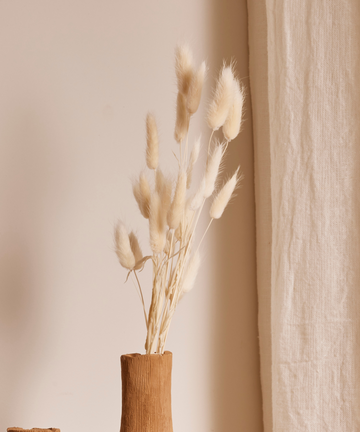 Flor Cauda de Coelho Desidratada