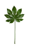Folha Papaya Toque Real - 72cm