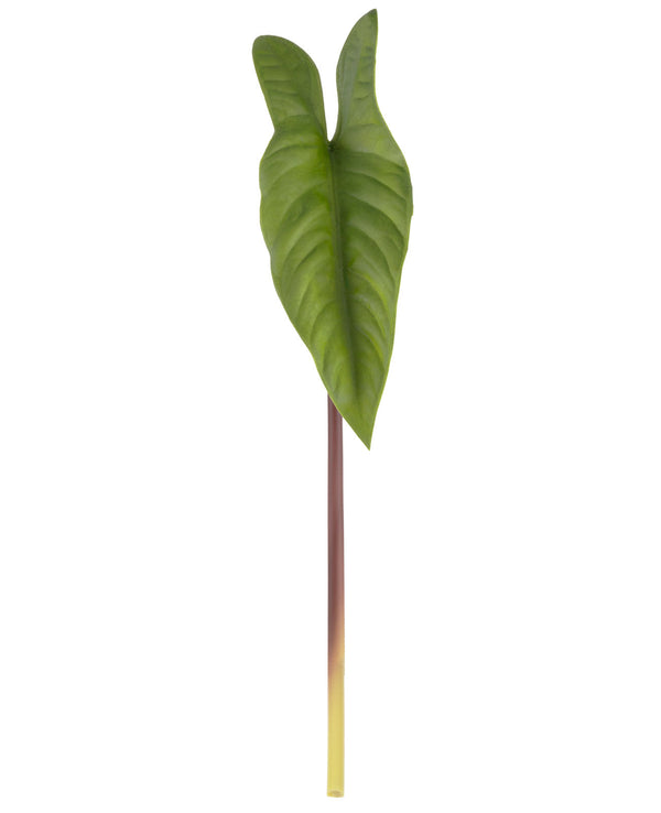 Folhagem Alocasia Toque Real - 41cm