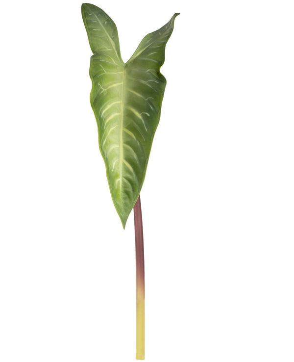 Folhagem Alocasia Toque Real - 60 x 15cm