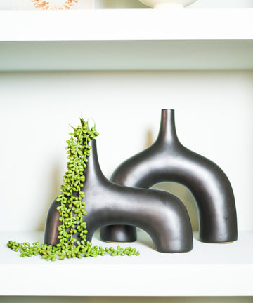 Suculenta Sedum Pendente  - 50cm