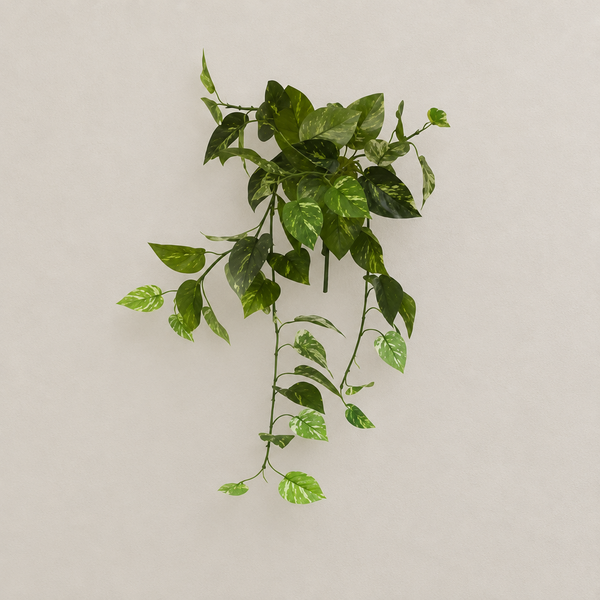 Plantas Permanentes