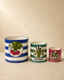 Jogo de Cachepots Cerâmica Vegetais Vintage com 3 Peças