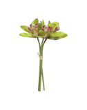 Ramalhete de Orquídea Verde c/ Fita Toque Real - 23cm