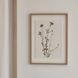 Quadro Canvas Florescer I - 60 x 45 cm