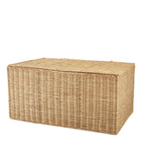 Baú em Rattan P – 26 x 50 x 37 cm