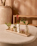 Bandeja Radiance - 50 x 12,5 cm