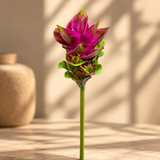 Flor de Cúrcuma Toque Real Fúcsia - 48cm
