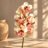 PLANTA ORQUÍDEA VANDA TOQUE REAL MOCHA MOUSSE -69 CM