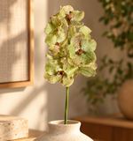 PLANTA ORQUÍDEA VANDA TOQUE REAL VERDE - 69CM
