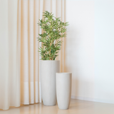 Bambu Fino Avulso - 1,5M