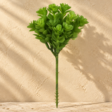 Suculenta Verde - 20cm