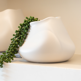 Vaso Organic - 12 x 24 cm