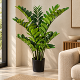 PLANTA ZAMIOCULCAS TOQUE REAL- 75CM