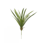 Folhagem de Orquídea Cymbidium Toque Real - 54cm