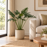 PLANTA FILODENDRO XANADU TOQUE REAL - 73 CM