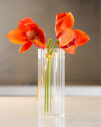 Haste Orquídea Cymbidium Alaranjada - 27 cm
