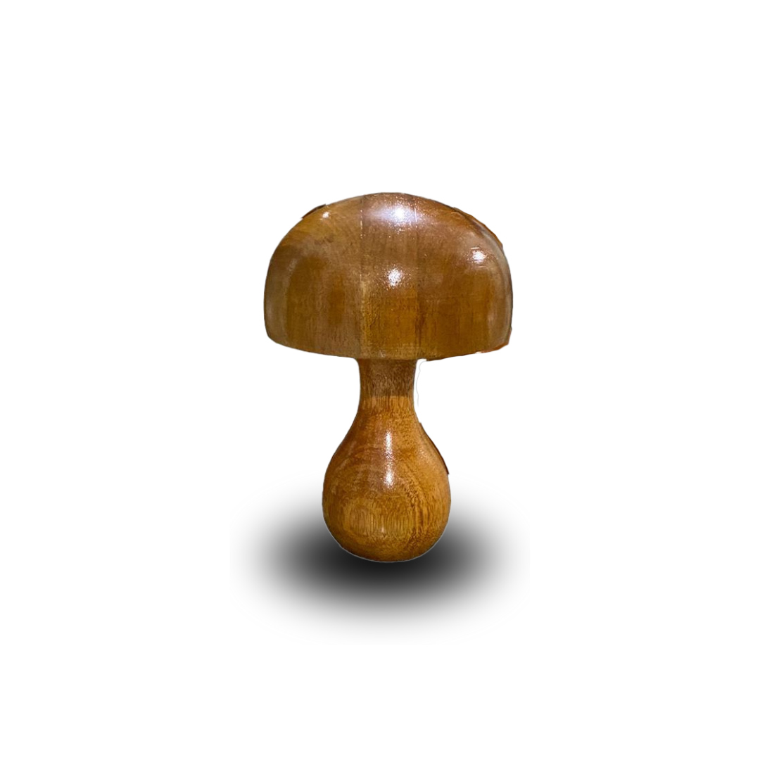 Cogumelo Fungi - 14x20cm