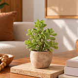 PLANTA SUCULENTA TOQUE REAL - 16 CM