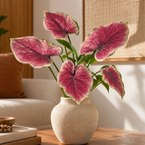 PLANTA CALADIUM TOQUE REAL MARSALA - 61CM
