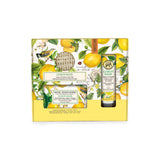 Kit Hand & Body Care (Lemon Basil)