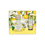 Kit Hand & Body Care Sabonete (Lemon Basil)
