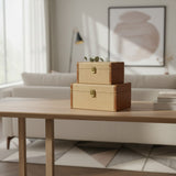 Caixa Decorativa Organic G - 15,5 × 49 × 22 cm
