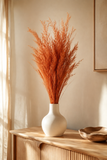 PLANTA DESIDRATADA CAPIM ANDRÉ TERRACOTA