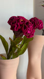 Haste Celosia Fúcsia – 58 cm