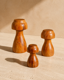 COGUMELO MADEIRA - 0,13X0,25CM