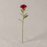 Haste Celosia Fúcsia – 58 cm