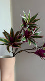 Haste Dracena X3 – 83 cm