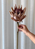 Protea Tonalidade Pêssego Outonado - 56cm