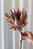 Protea Tonalidade Pêssego Outonado - 56cm