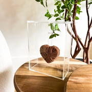 Caixa Acrílica c/ Coração Marrom Fio Dourado  - 21x16cm