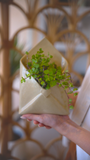 VASO DE PAREDE ENVELOPE