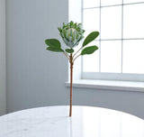 Haste Protea Flocked Toque Real (Verde) – 57cm