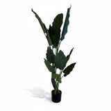 Árvore de de Filodendro Ondulado – 160 cm (Verde)