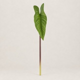 Folhagem Alocasia Toque Real - 41cm