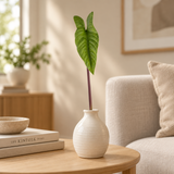 Folhagem Alocasia Toque Real - 41cm
