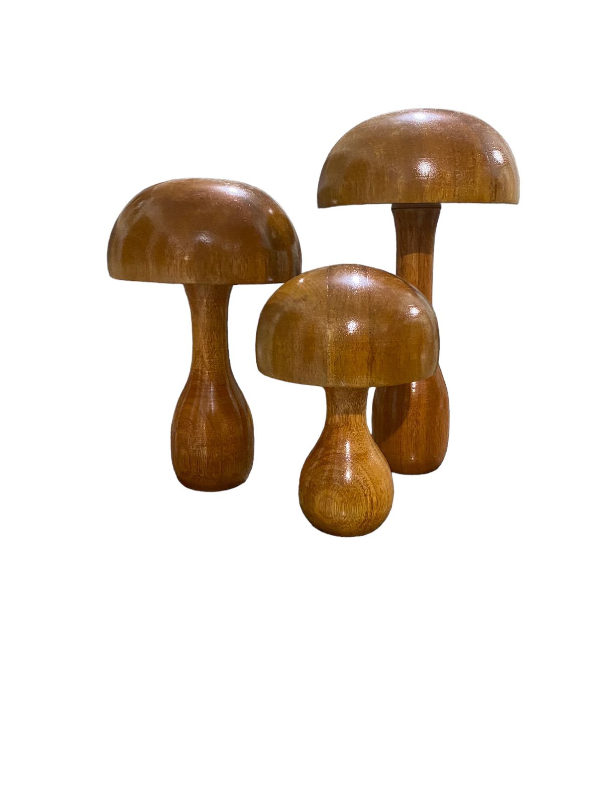 Cogumelo Fungi - 16x25cm