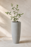 VASO ALVA OFF WHITE