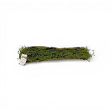 Tronco com Musgo – 48 cm