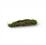 Tronco com Musgo – 65 cm
