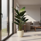 Árvore de Bananeira – 120 cm