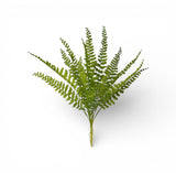 Haste de Samambaia – 13 cm (Verde)