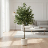 Árvore Ficus – 2,10 m