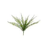Samambaia Decorativa Verde X14