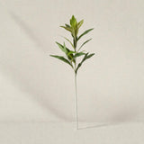 Haste Dracena Toque Real – 87 cm