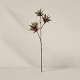 Haste Dracena X3 – 83 cm